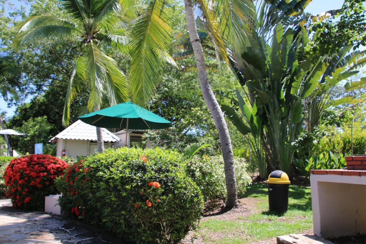 Tropical Bliss Pool Wi-Fi Bbq Near Quepos Manuel Antonio Appartement Buitenkant foto